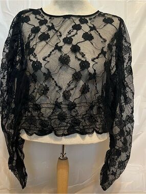 Sheer Black Lace Crop Top Long Sleeve Floral Boho Romantic Goth Small/Medium